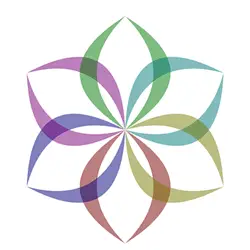 partner6 partner6