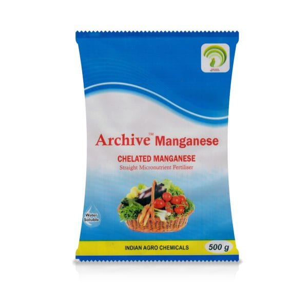 Archive Magnanese